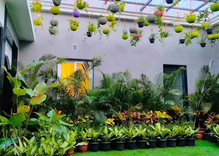 Mayfair Palm Beach Resort Gopalpur 
