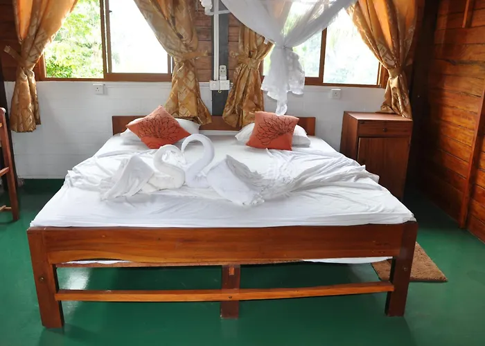 Surf & Yoga Sri Lanka - Surf Camp And Yoga Retreat With Coworking Space Mirissa