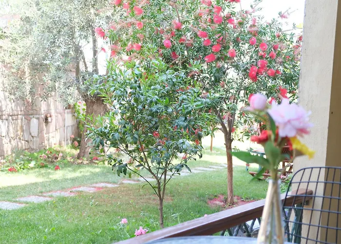 Nilüfer Butik Otel Ayvalı