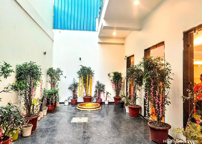 Hotel Mavens White Artemis Hospital Road Sector 52 Gurgaon