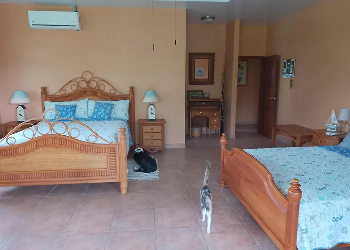 Gone Fishing Panama Resort Boca Chica