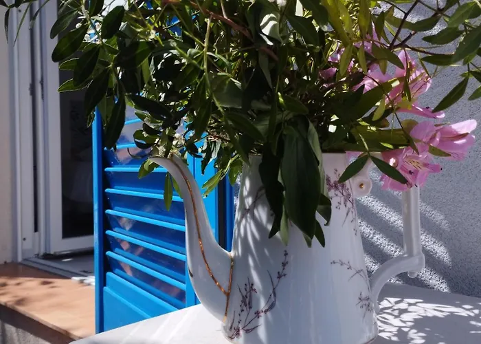 Maison d'Hôtes Floribel Cagnes-sur-Mer