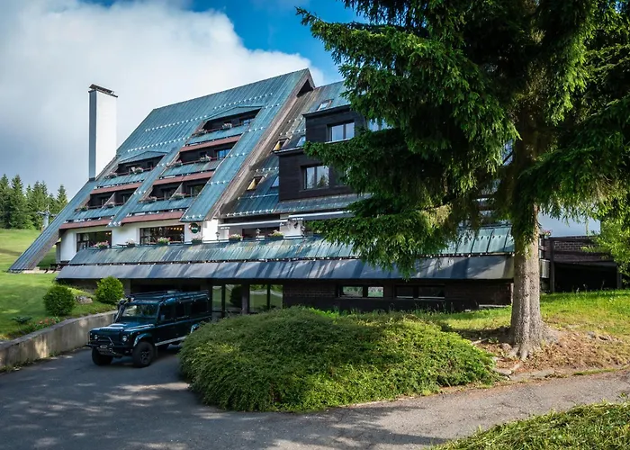 Wellness Hotel Šedý Vlk Harrachov