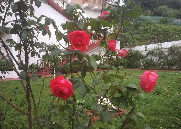 Garden Cottages Shimla