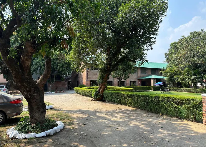 The Cocoon Bed & Breakfast Dehradun