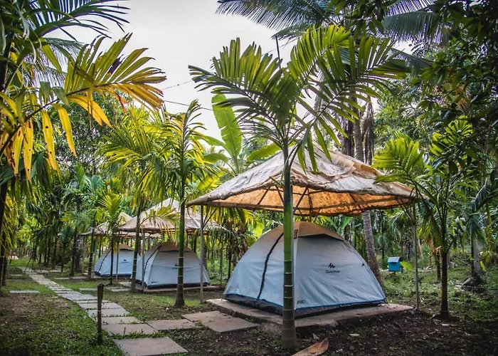 Dandeli Jungle Resort