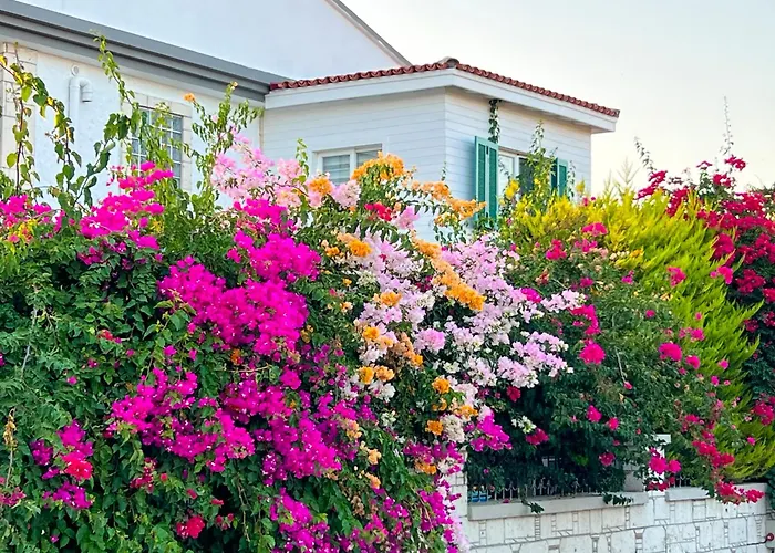 Alacati Xl Luxury Hotel Çeşme