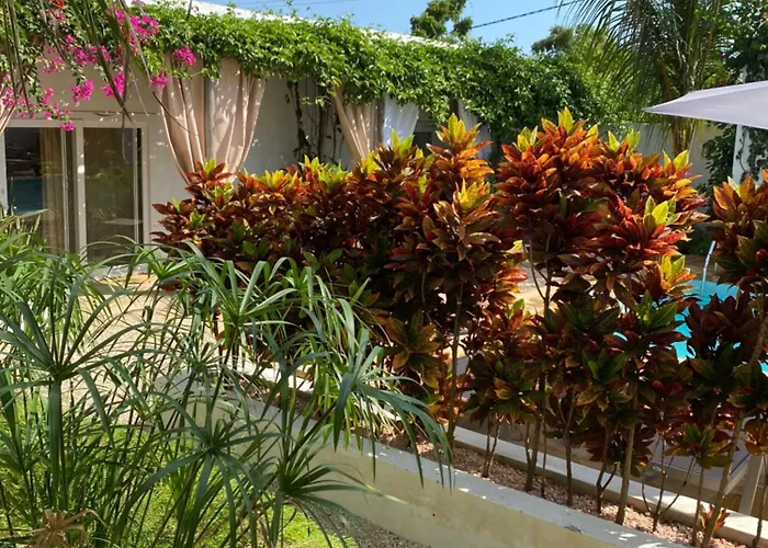 Cactus Lodge Zanzibar Nungwi