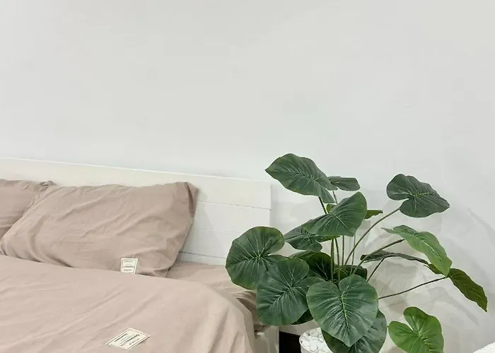 Bom House Hotel Hanoi