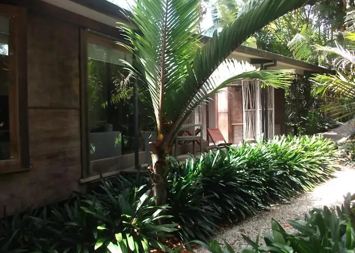 Springfield Studio Auckland