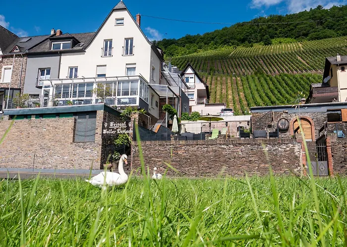 Weingut / Gästehaus Gerlach Ürzig