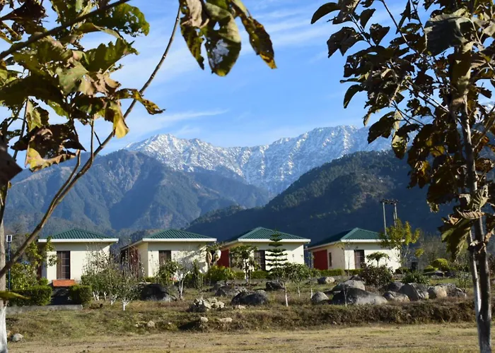 Dhauladhar View Village Resort Dharamshala
