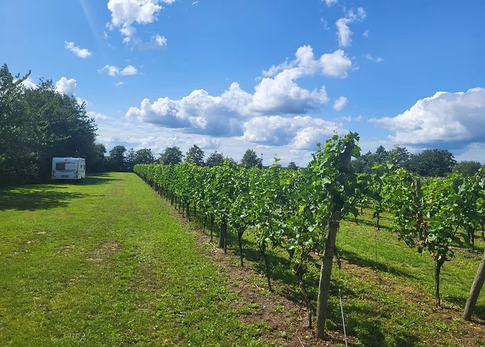 Camping Wijndomein Erve Wisselink Eibergen