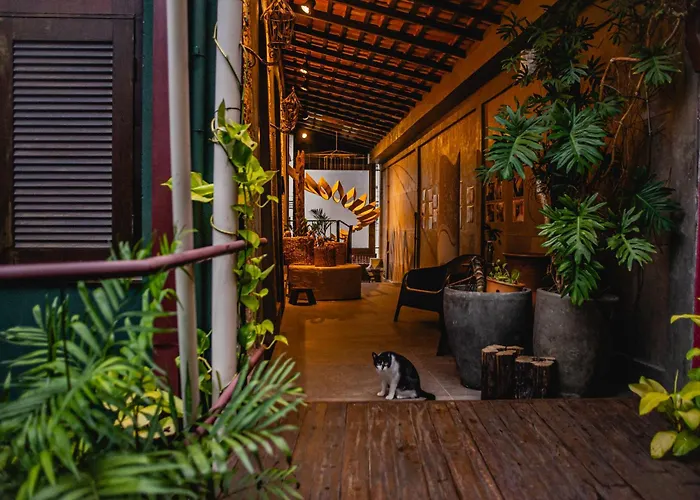 Cas'Amazonia Brasil Hotel Belém