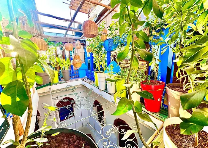 Riad Verus Fes