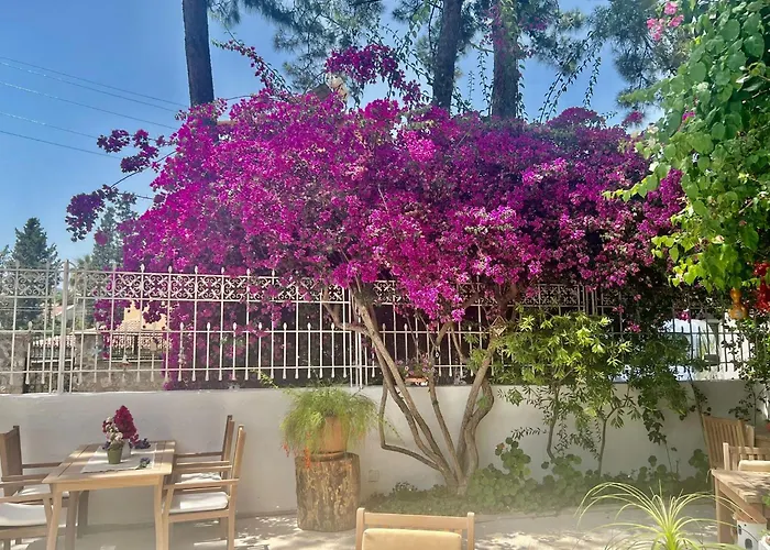 Carikci Hotel Marmaris