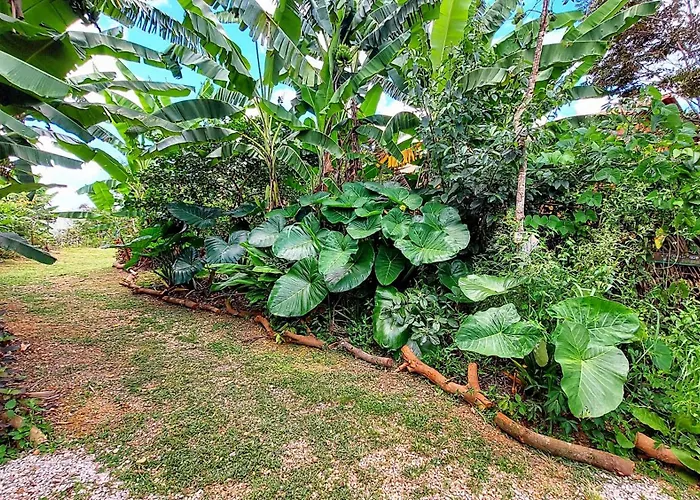 Canto Da Coruja - Ecohospedagem São Jorge