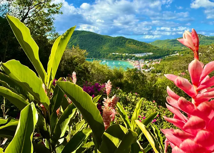 Au Jardin Des Colibris Ecolodge&Spa Deshaies