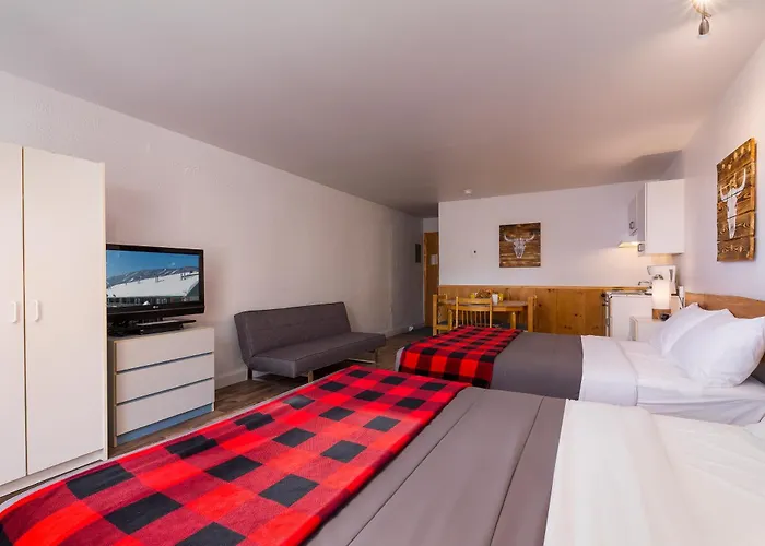 Complexe Les Neiges Hotel Saint-Ferreol-les-Neiges
