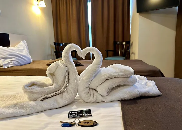 Lion'S Hotel Bucharest
