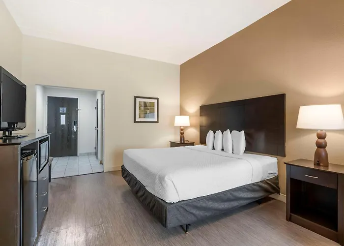 Best Western Suites Columbus New Rome