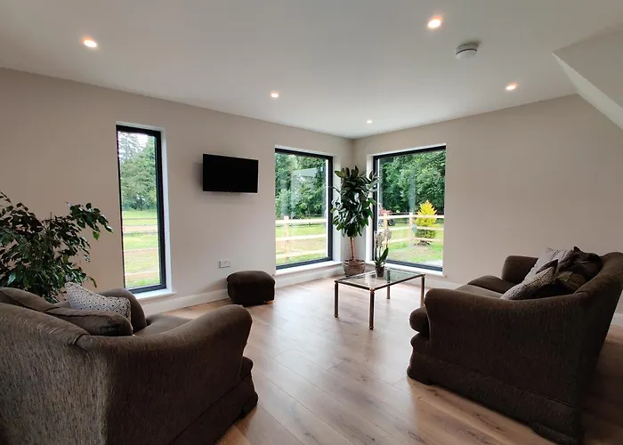 Moynure House Boutique B&B & Separate Two Bedroom Chalet Athlone