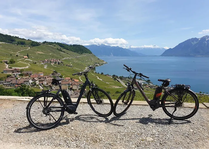 Chatonneyre Hotel & Restaurant Vevey