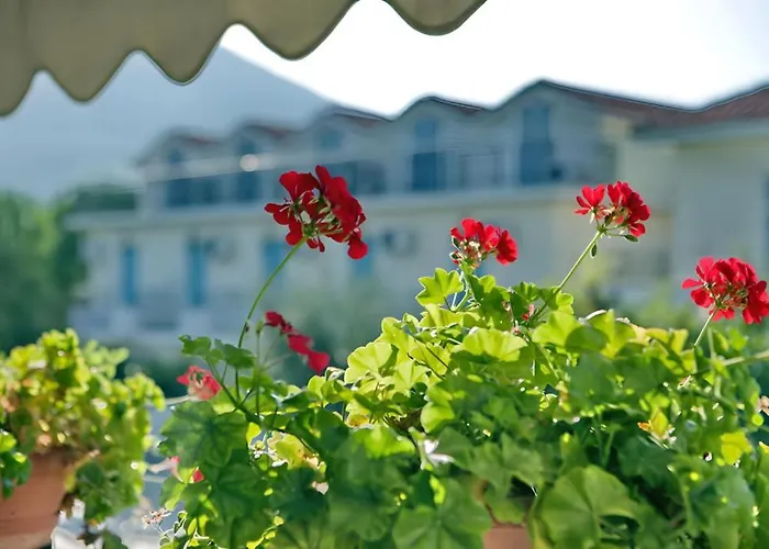 Theofilos Classic Hotel Petra 