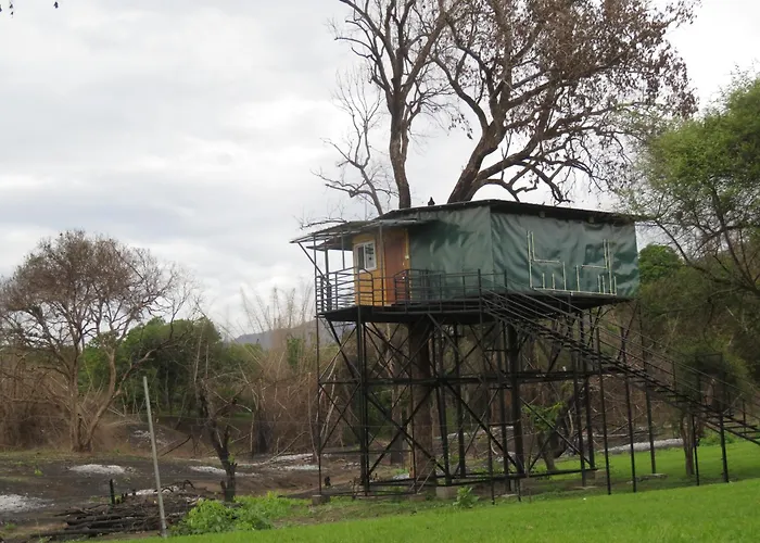 Secret Ivory Hotel Masinagudi
