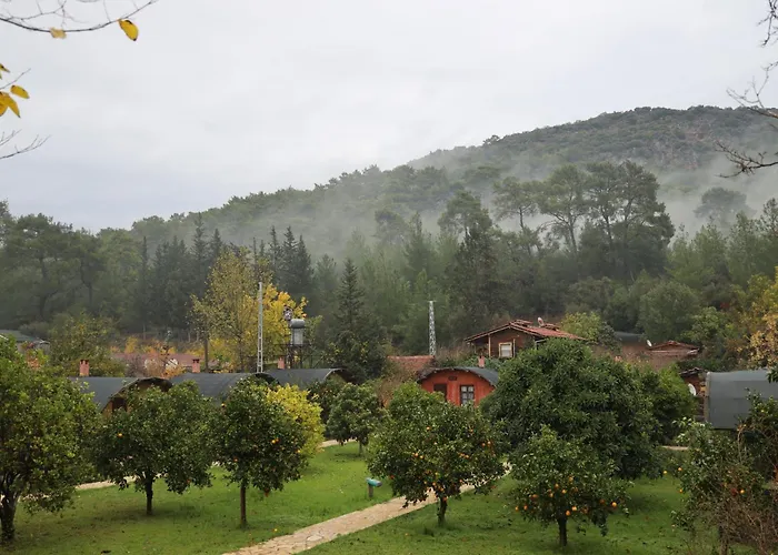 Simurg Evleri Olimpos