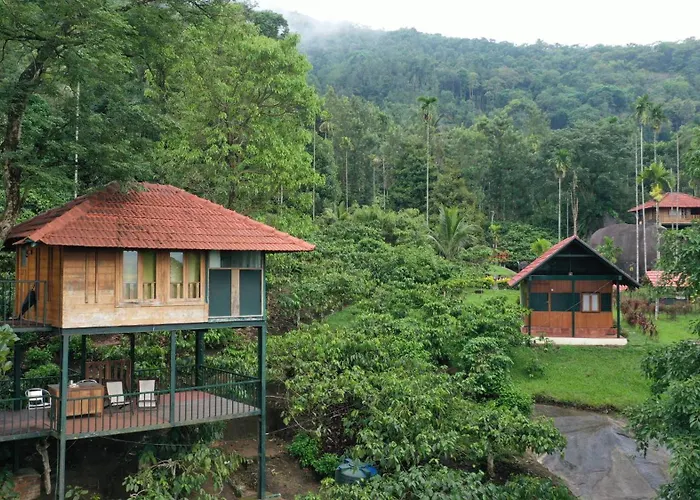 Avadale Wayanad - Stag Groups Not Allowed Kalpetta