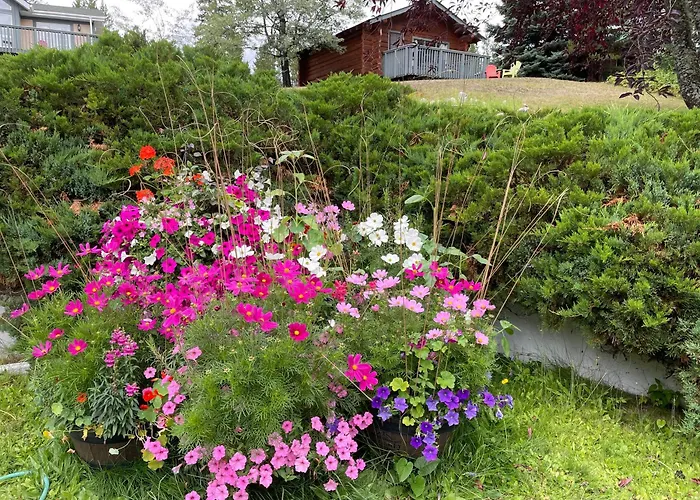 Dream Catcher Inn Valemount
