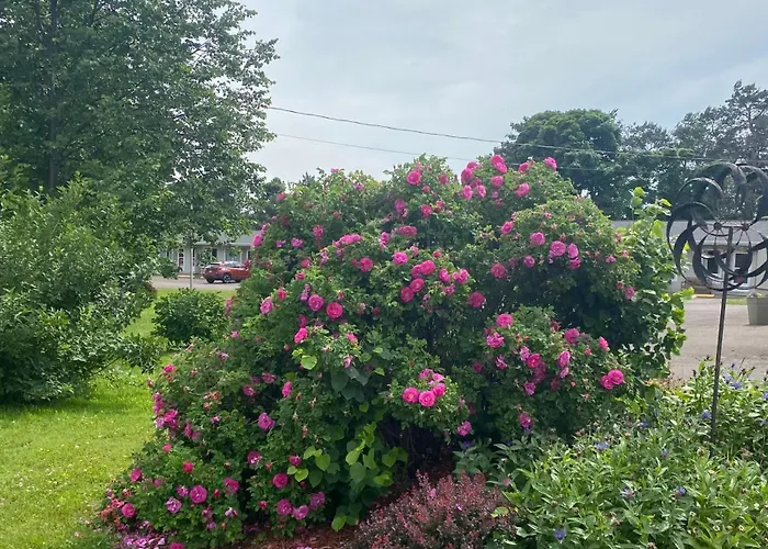 Sunny Isle Motel Summerside