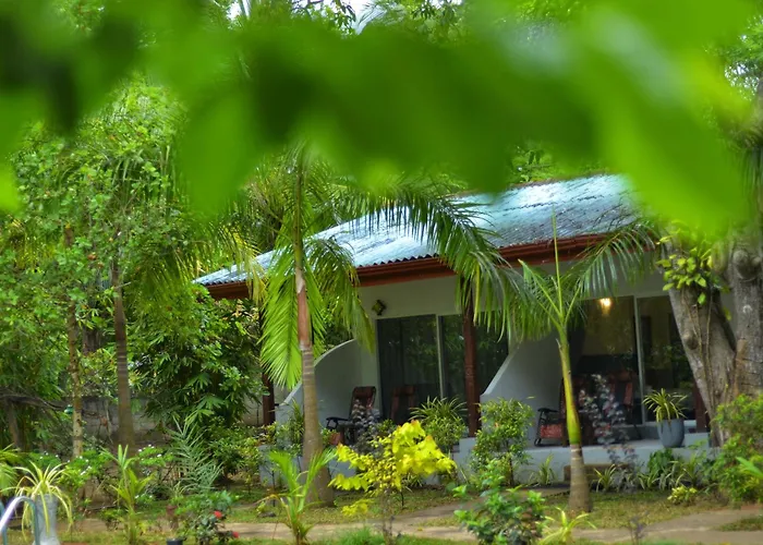 La Dolce Vita Sigiriya