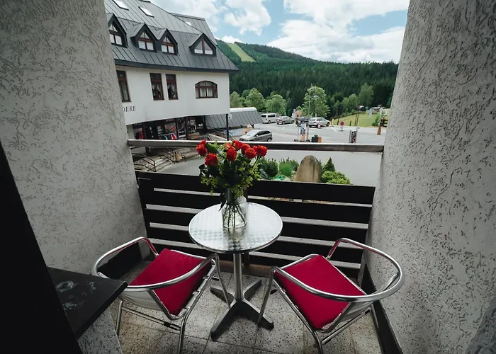 Pension Mona Harrachov