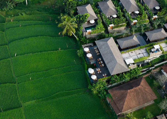Kappa Senses Ubud