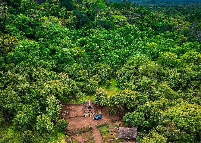 Forest Edge Resort Nature Retreat Near Sigiriya Dambulla