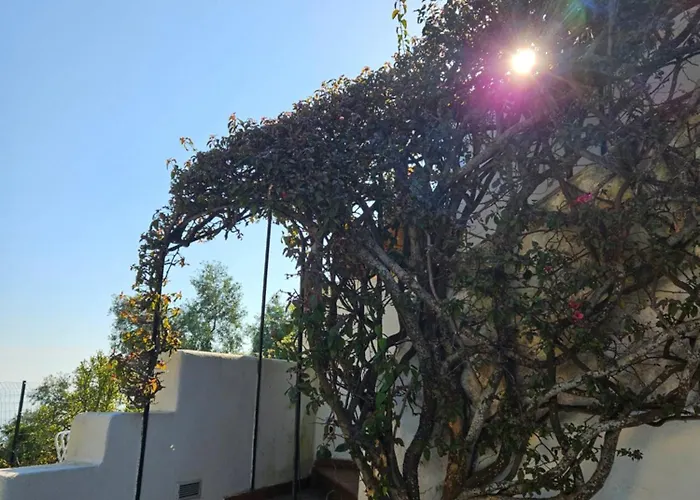 Casa Alberto Ischia