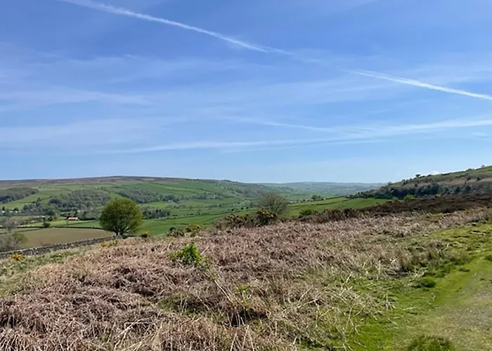 The Fox & Hounds Inn & Camping Pods Danby