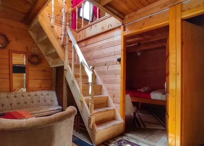 Cancik Dağ Evleri Rize