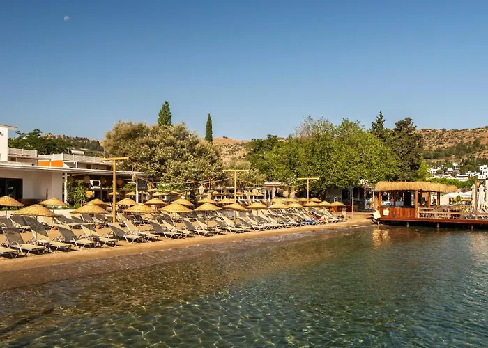 Daphnis Hotel Golturkbuku