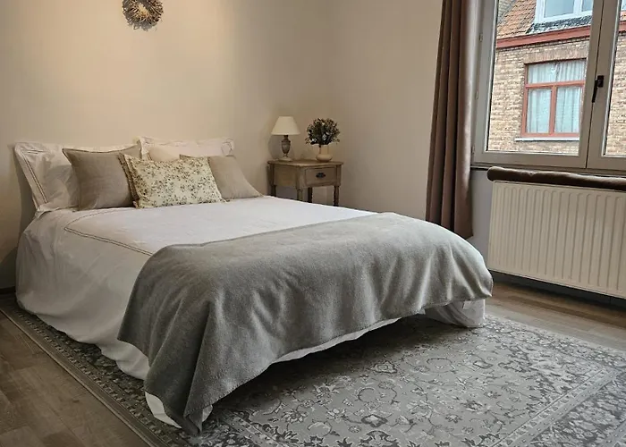 Die Scone Guestroom - Private House Experience In Central Brugge