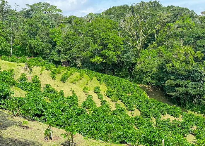 Casa Rayo De Luna Monteverde