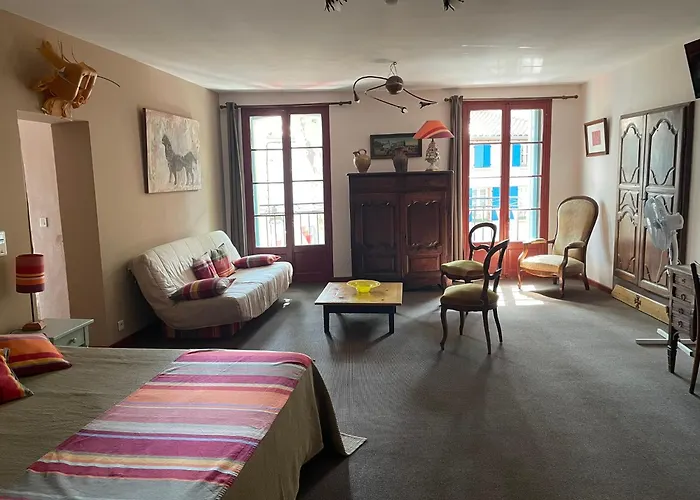 Hotel Vidal Céret