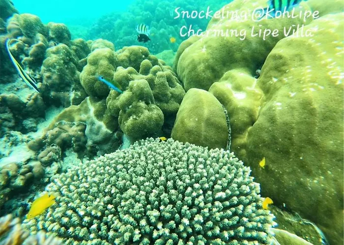 Charming Lipe Beach Resort