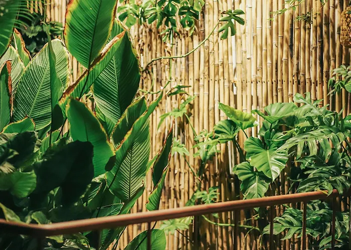5 Homestay 1 Vũng Tàu