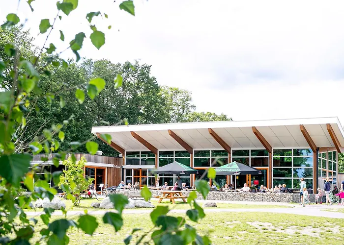 Vakantiepark Witterzomer Assen