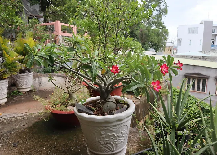 Cassabella Hotel & Apartments Vũng Tàu