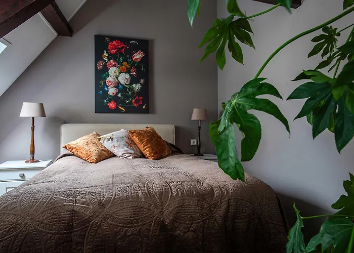 B&B De zilveren reiger Middelburg