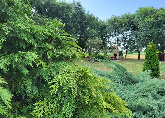 Nyárfás Vendégház Szeged